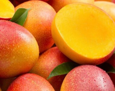 mango-kent