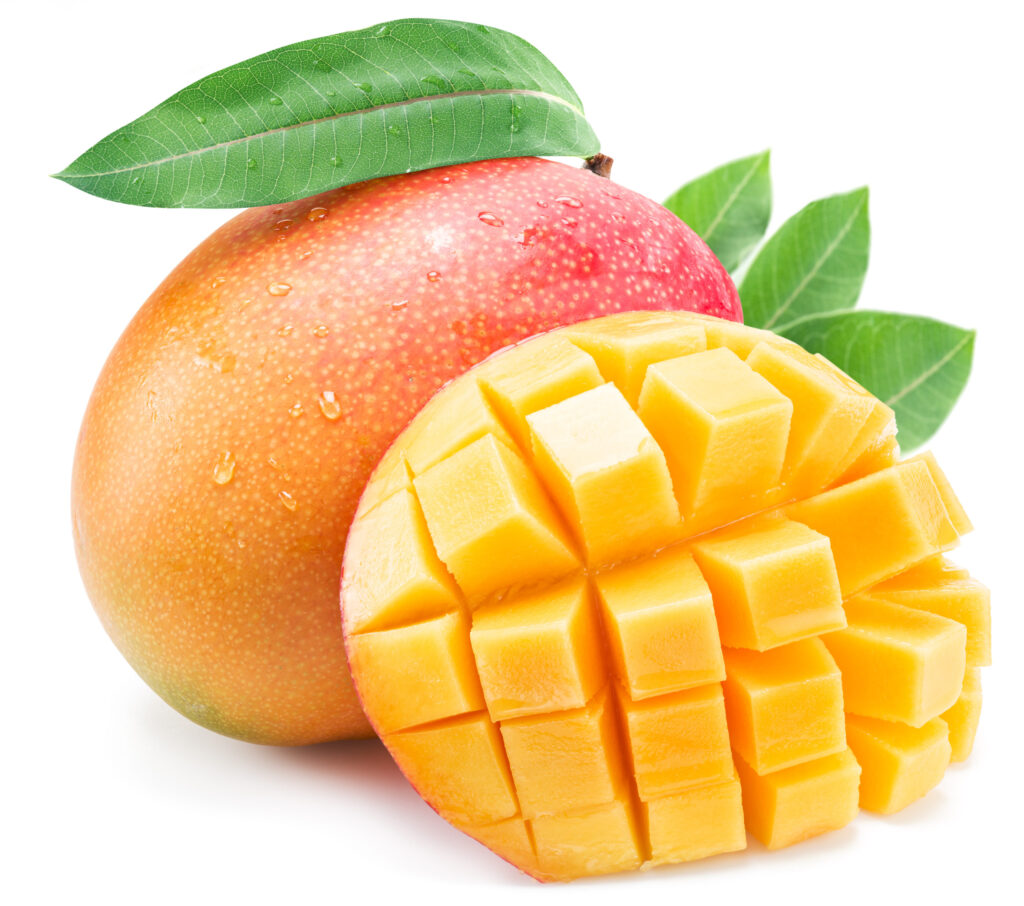 Mangue Kent