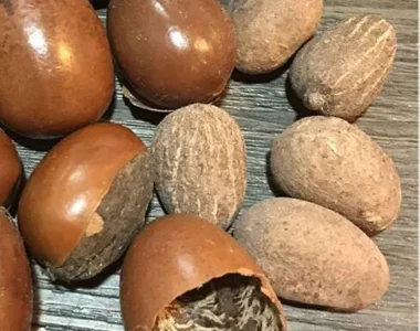 Poup-e-de-karit-pure-non-raffin-e-rouge-l-vres-maison-produits-de-soins-de