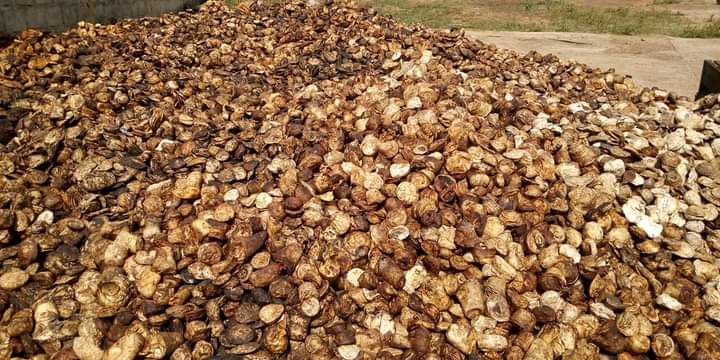 Granules de Caoutchouc naturel TSR 10