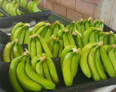 banane douce (1)