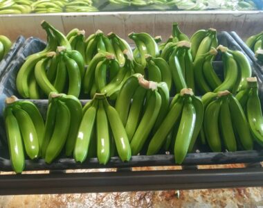 banane douce (4)