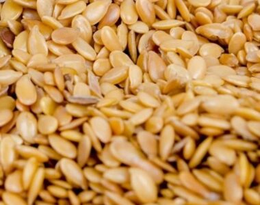 sesame-316590_1280_cropped_800x800
